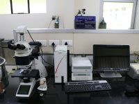 Digi. Metallurgical Microscope